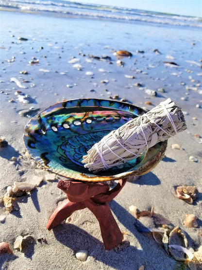 BEAUTIFUL Large Abalone Shell 6"+ XL Smudge Bowl & Wood Stand for Smudging, Sage Burning, Incense, Altar Supplies (6-7 Inches W/Stand)