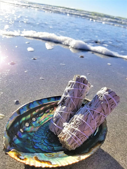 BEAUTIFUL Large Abalone Shell 6"+ XL Smudge Bowl & Wood Stand for Smudging, Sage Burning, Incense, Altar Supplies (6-7 Inches W/Stand)