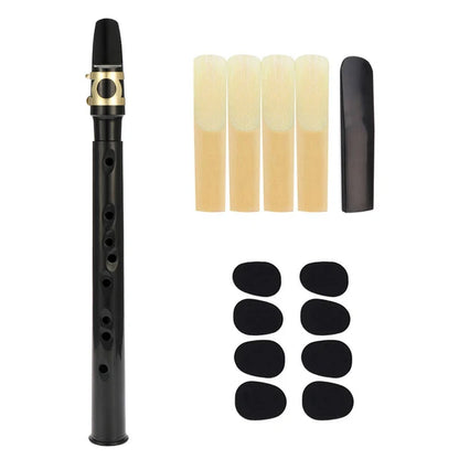 1-Hole Mini Pocket Saxophone ABS with Alto Mouthpiece Ligature Reeds Pads Finger Charts Carrying Bag