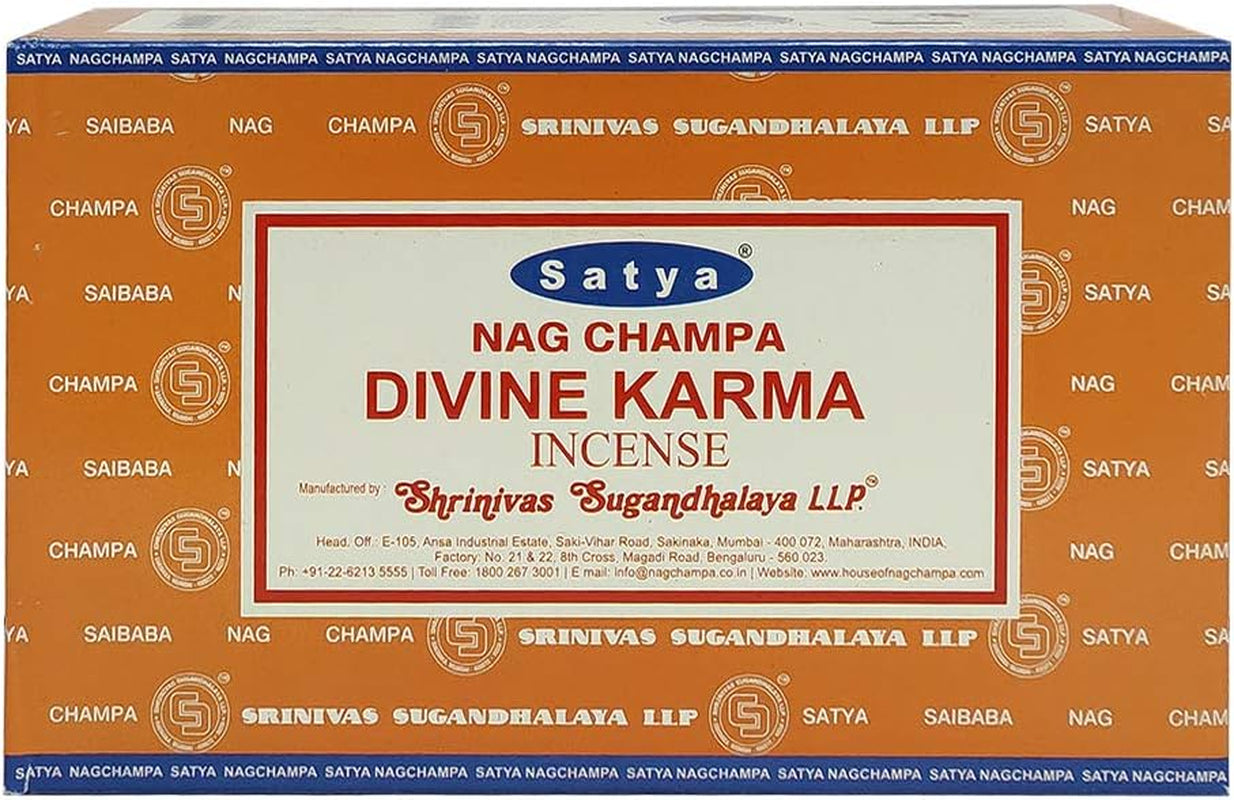 Divine Karma Incense Sticks and Incense Stick Holder Bundle Insence Insense Satya Incense