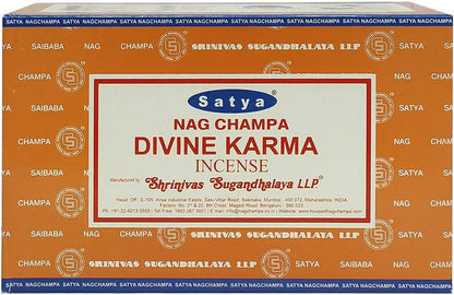 Divine Karma Incense Sticks and Incense Stick Holder Bundle Insence Insense Satya Incense