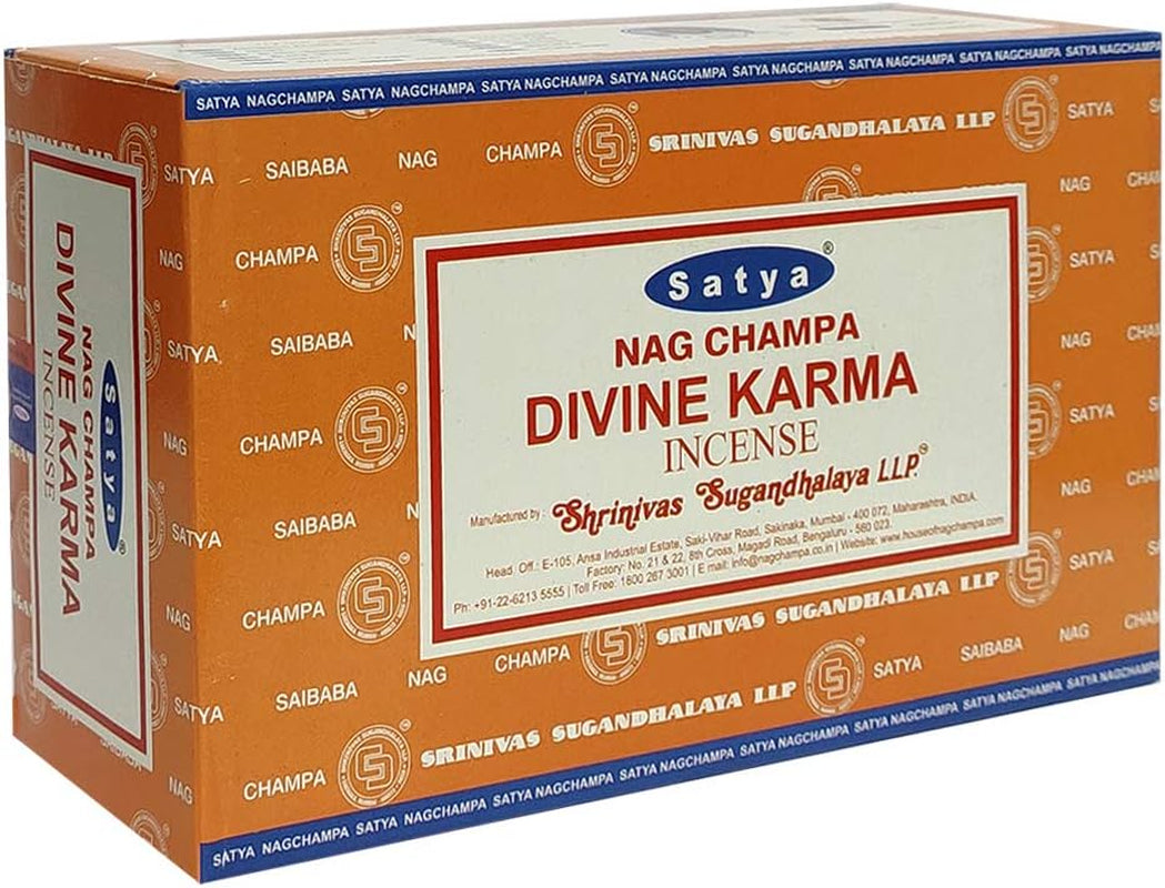 Divine Karma Incense Sticks and Incense Stick Holder Bundle Insence Insense Satya Incense