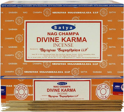 Divine Karma Incense Sticks and Incense Stick Holder Bundle Insence Insense Satya Incense