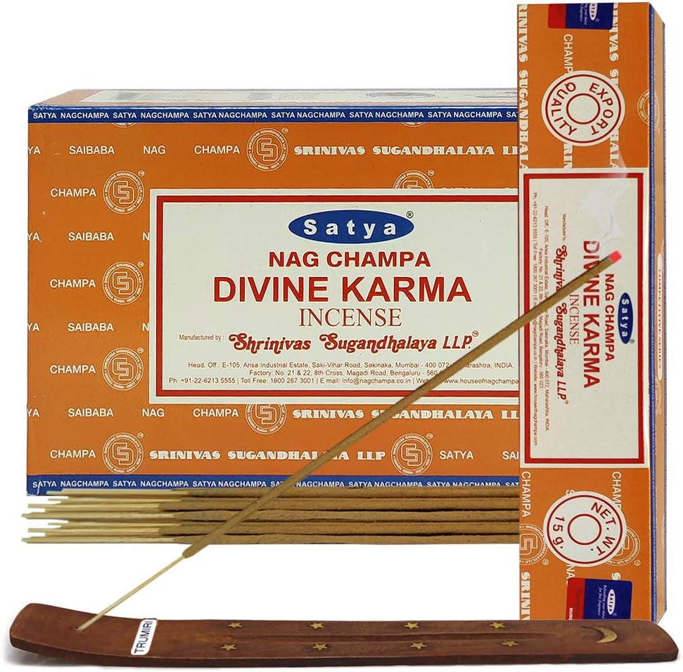 Divine Karma Incense Sticks and Incense Stick Holder Bundle Insence Insense Satya Incense